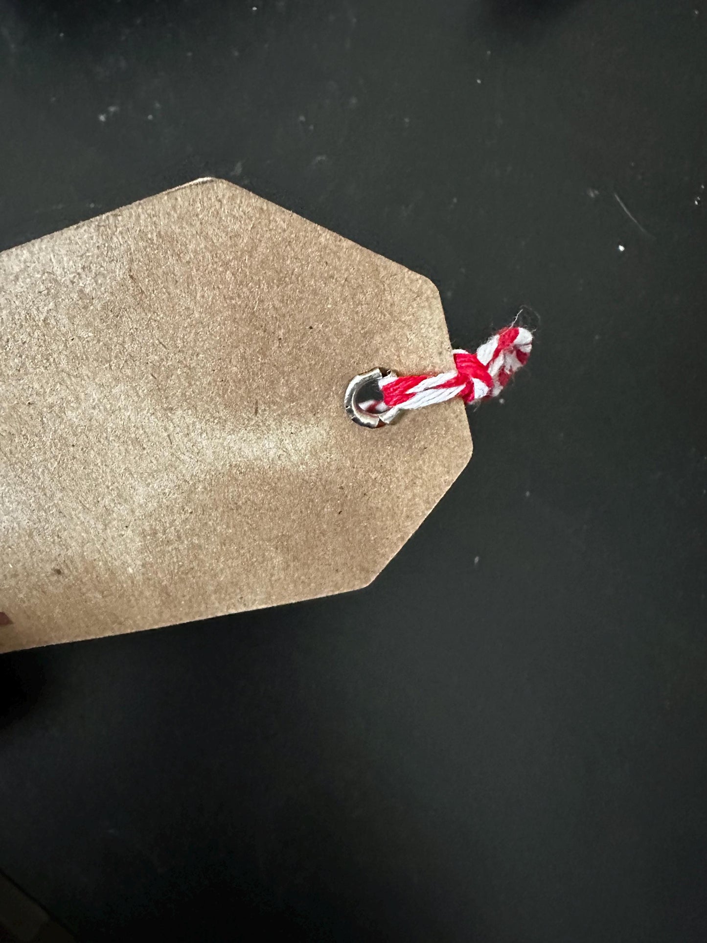 The "I Like You " Gift Tag